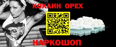 стафф Камышлов