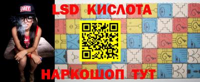 стафф Камышлов