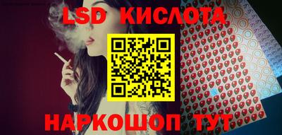 стафф Камышлов