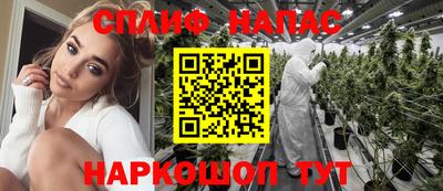 стафф Камышлов