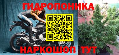 стафф Камышлов