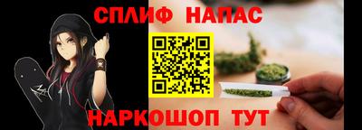 стафф Камышлов