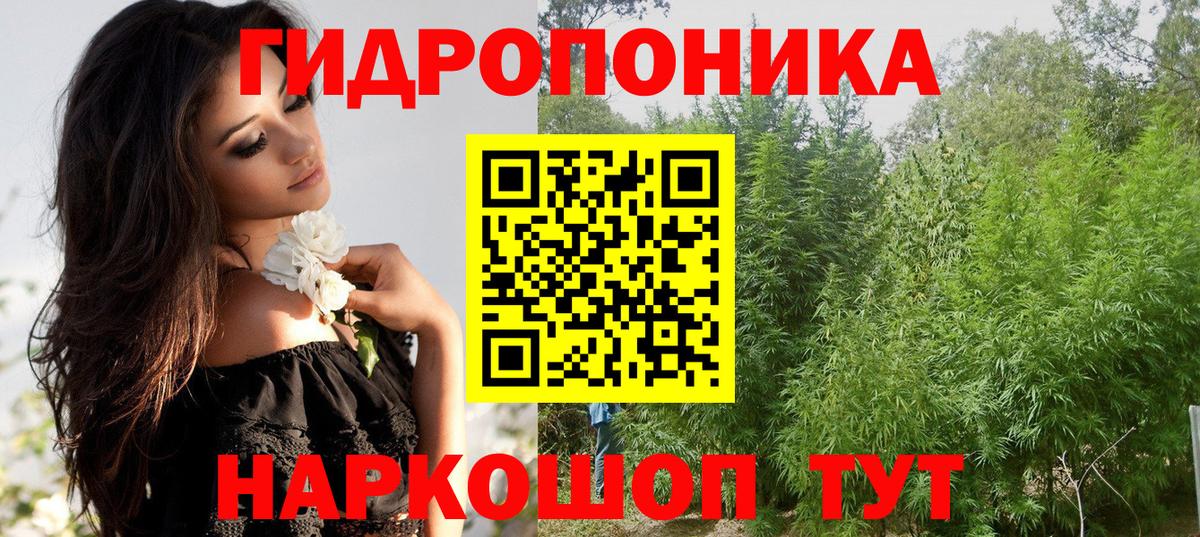 Марихуана конопля Торжок